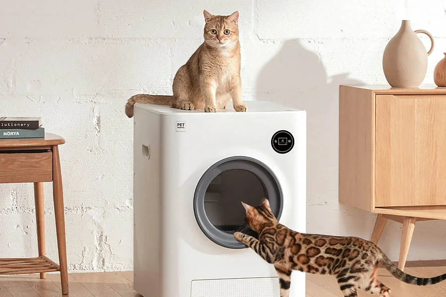 best litter boxes for large cats